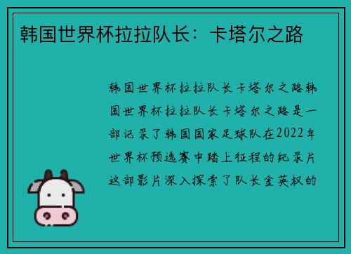 韩国世界杯拉拉队长：卡塔尔之路